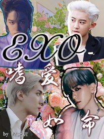 EXO：嗜爱如命
