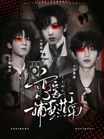 TF四代：恋爱捕获指南