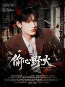 TF三代：偷心野火