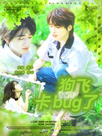 TNT：狗飞卡bug了