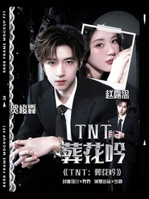 TNT：葬花吟