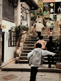 TF：我渴望你的爱