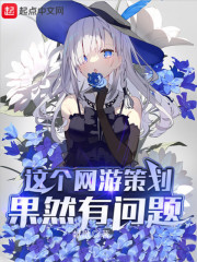 这个游戏设计师 小说