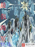 海贼王之最强海军